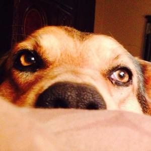 Meet your Posher, Becky